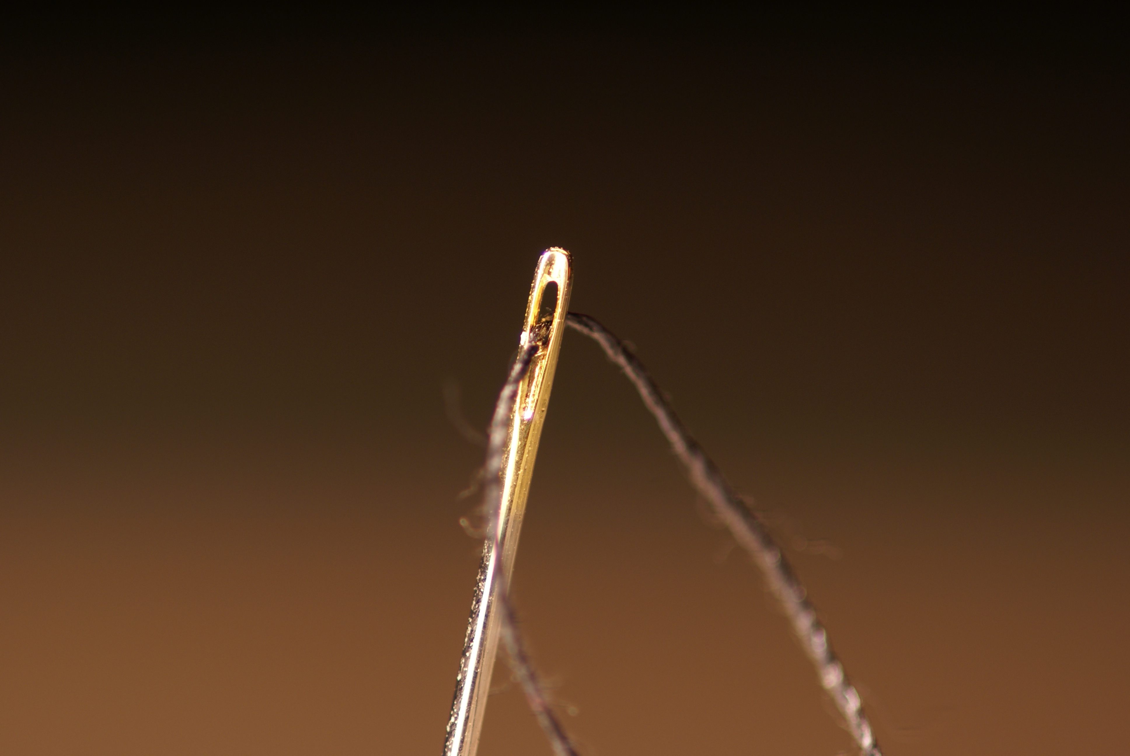 Found: The World's Oldest Sewing Needle - Atlas Obscura