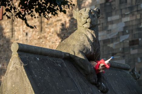 Animal Wall at Cardiff Castle