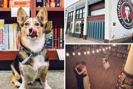 A perfect doggo at the UC San Diego Bookstore, a powerful mural outside Ken Sanders Books, and love at Housing Works. 