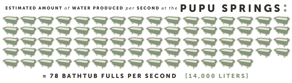 Estimated amount of water produced per second at the Pupu Springs