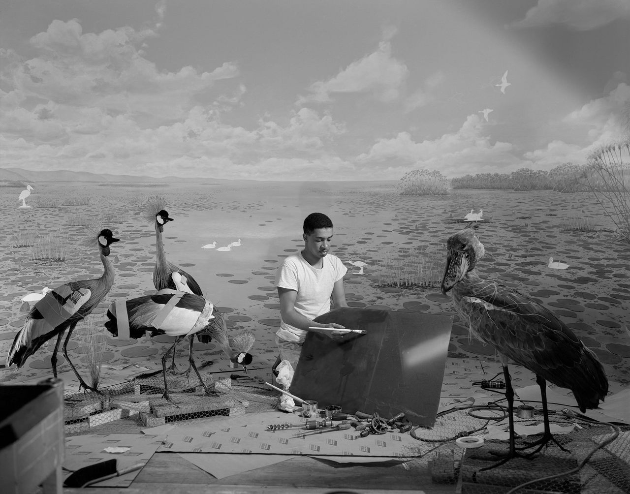 The taxidermist Carl Cotton prepares a diorama of birds in the Upper Nile.