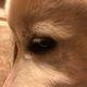 okami0731 profile photo