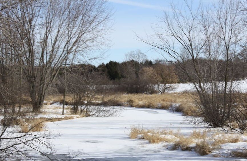 The Embarrass River.