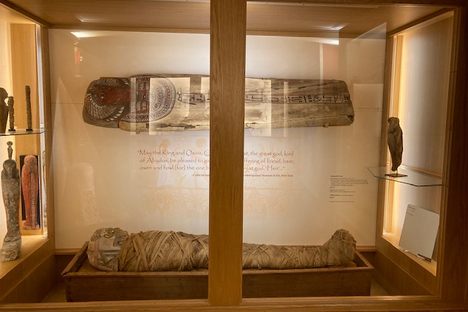 Hen, Mummy and Sarcophagus Display.  