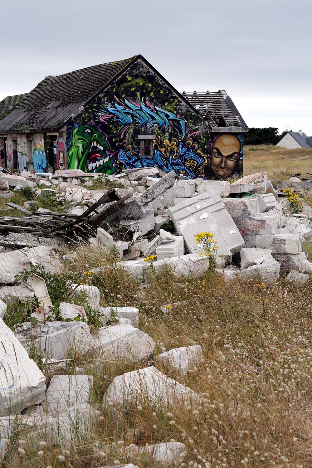 The ruins of houses and other buildings.