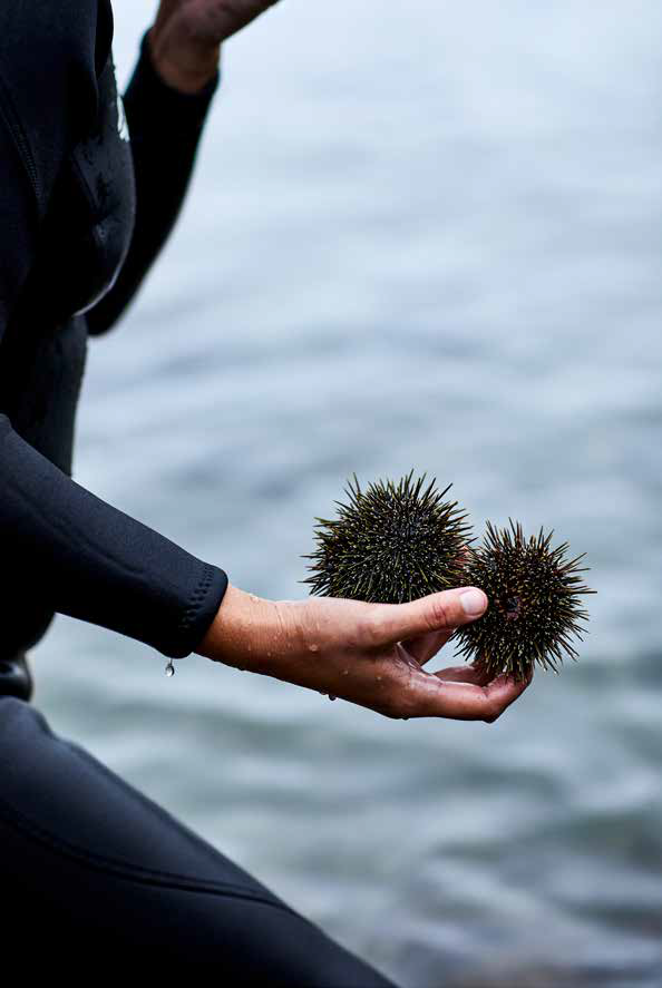 <em>Kaimoana,</em> or food from the sea, is a staple of Māori cooking.