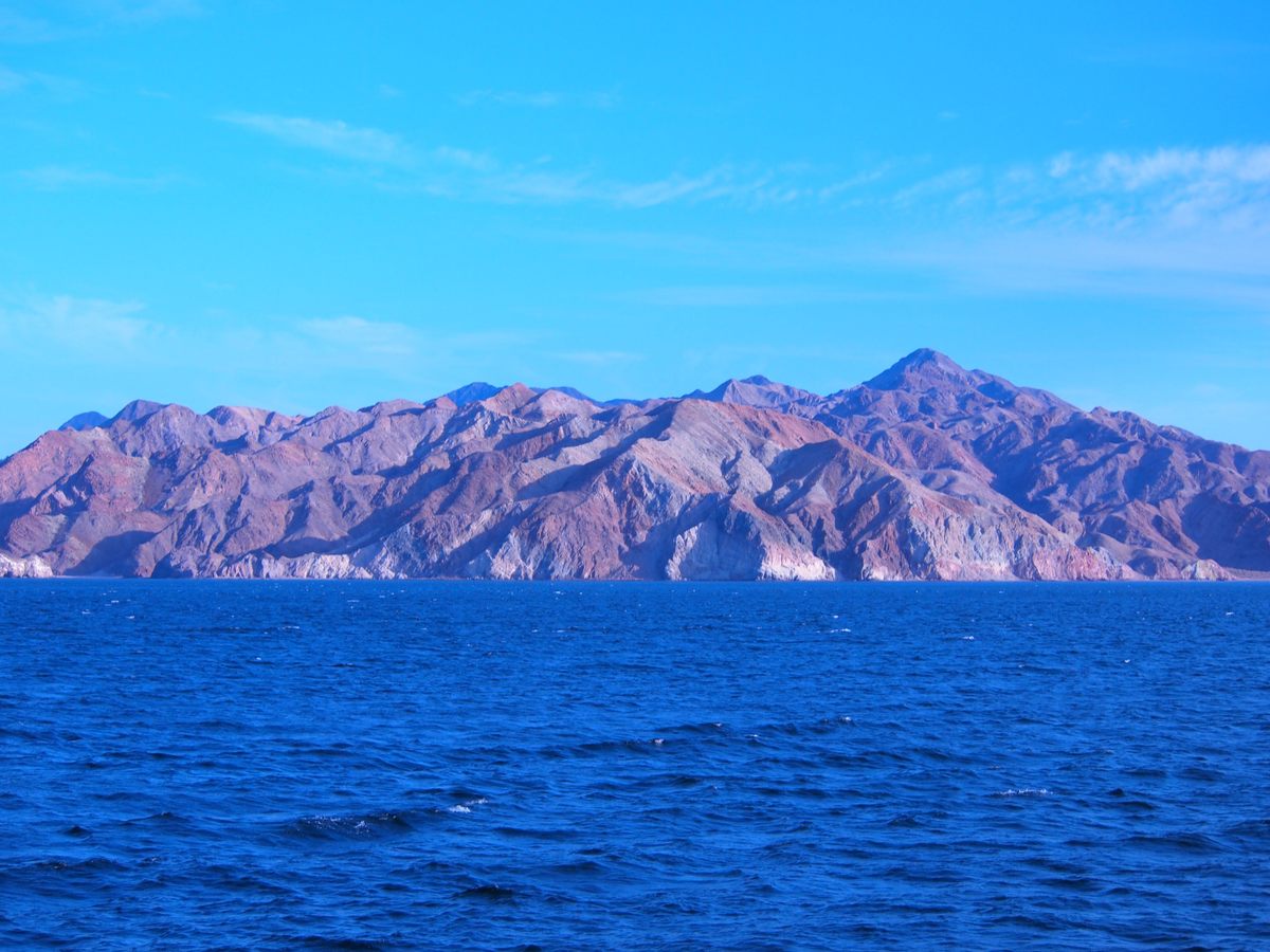 The coastline of Bahía de los Ángeles in Baja California. Not pictured: Humboldt squid.