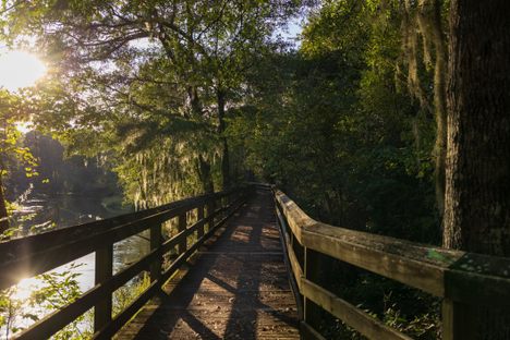 Lumber River at sunset.