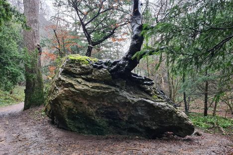 The Devil's Lapstone
