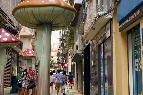 Mushroom and snail