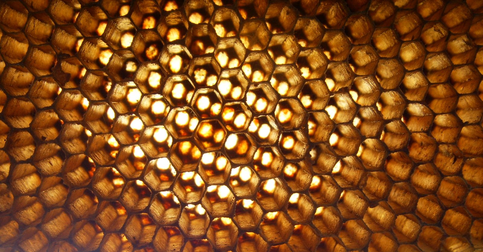 Polywater was thought to have a hexagonal structure, not unlike honeycomb.