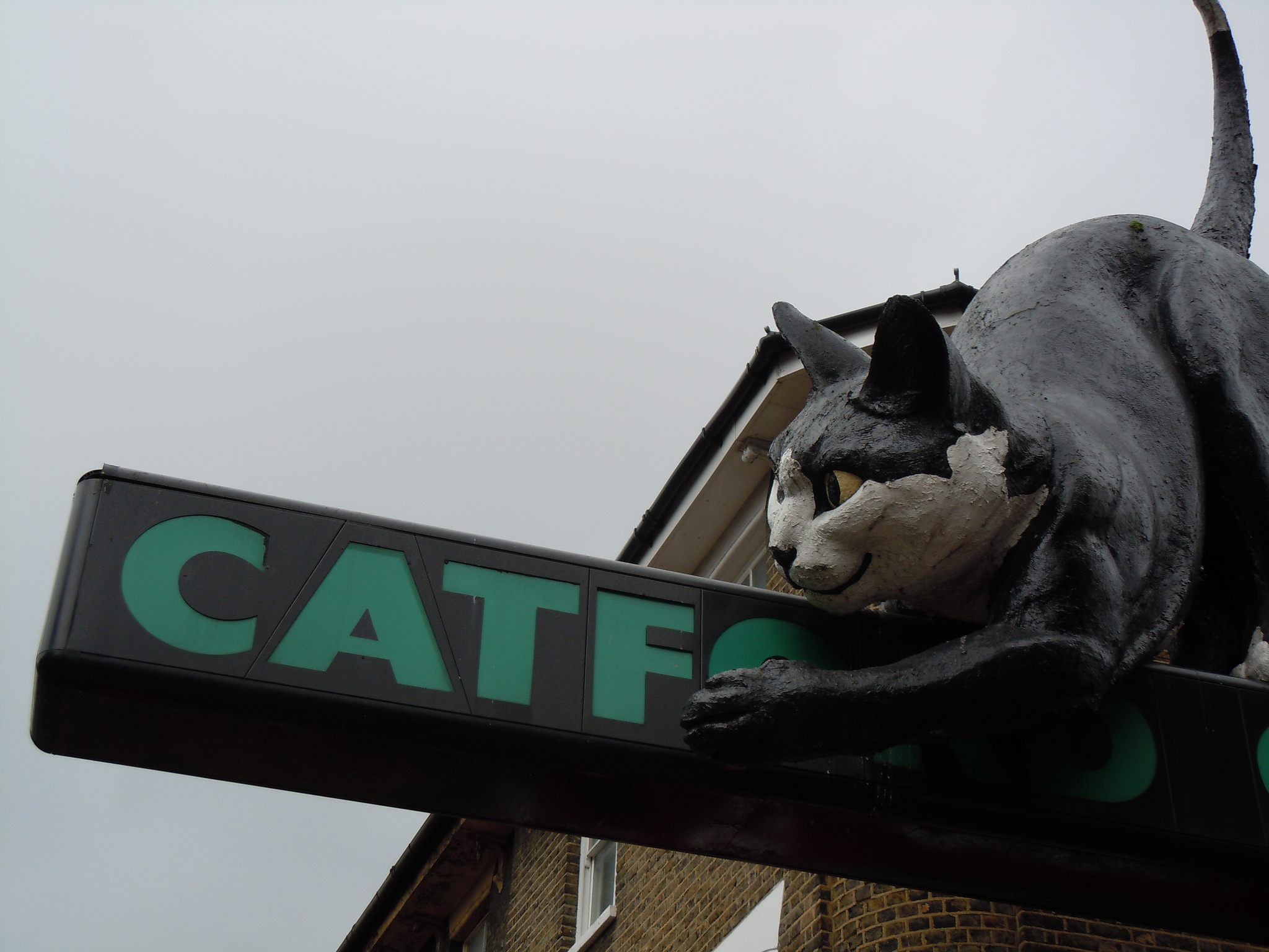 The Catford Cat Has Been Saved - Atlas Obscura