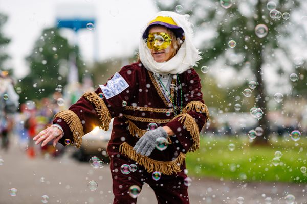 best mardi gras parades reddit