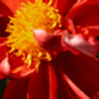 Profile image for howeludvigsen32ivscsh