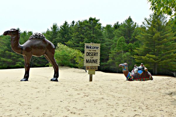 The Desert of Maine