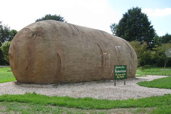 Big Potato in Robertson, Australia. (Wikimedia Commons)