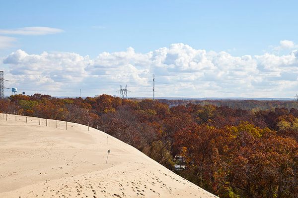 A view from the top of the dune.