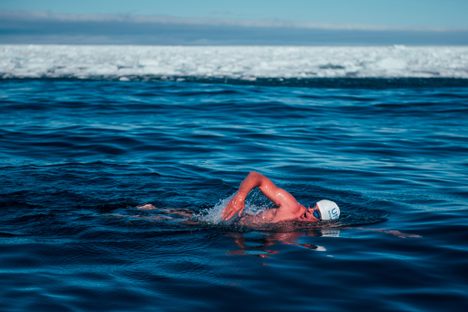 Pugh swimming in subzero water, alongside a border of melting Arctic sea ice.