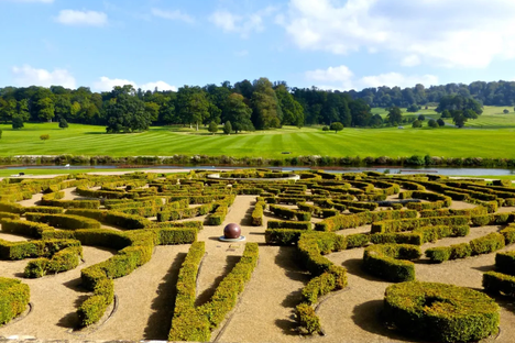 Longleat Hedge Maze