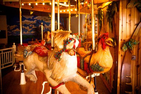 A wolf and a hen, destined to race in circles for all eternity