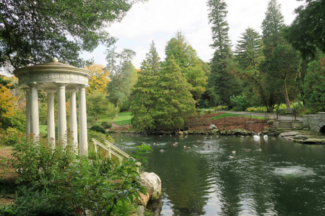 Swan Pond.