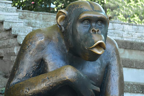 Guy the Gorilla - Wikipedia