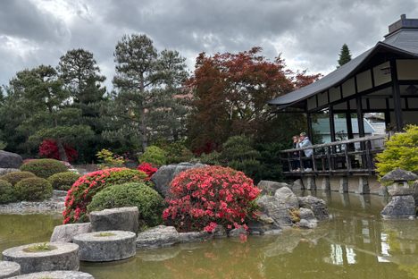 Japanese Bonsai Garden