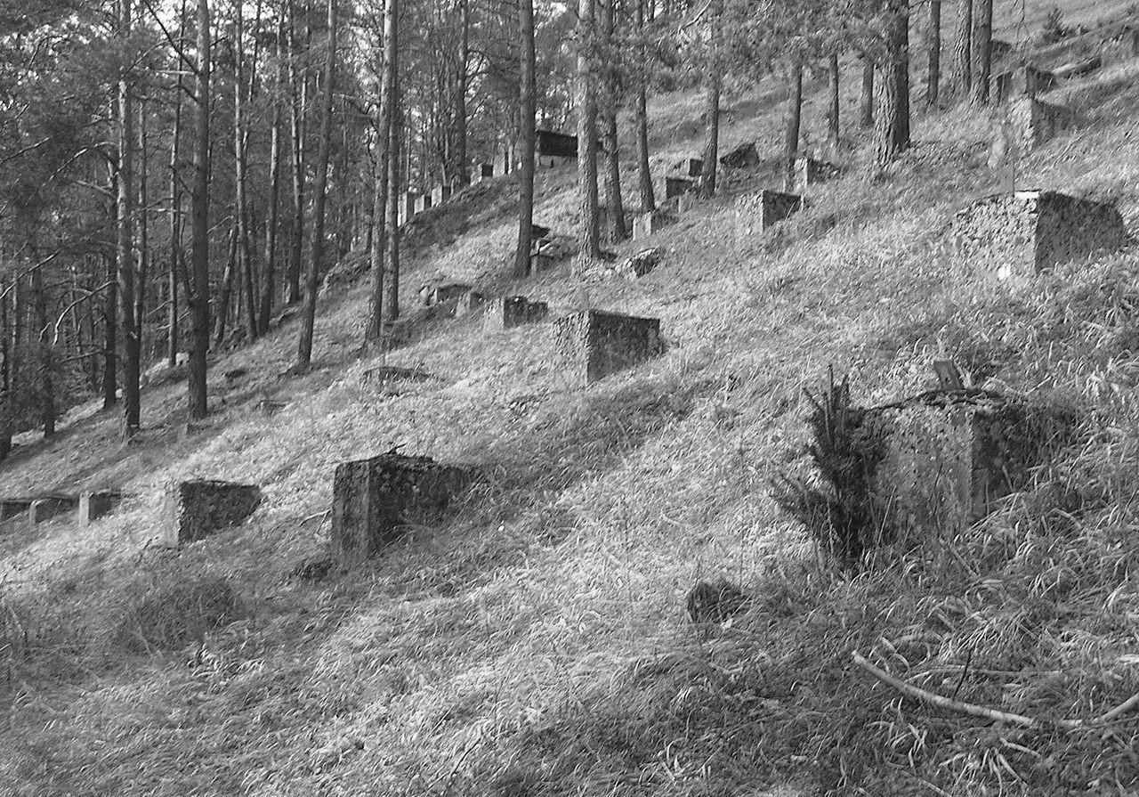 Remnants of the Deutsches Stadion model, near Hirschbach, Germany.