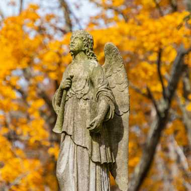 Wildwood Cemetery and Crematorium 