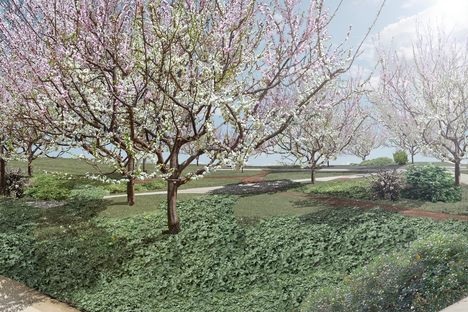 An artist rendering of the Open Orchard on Governor's Island.