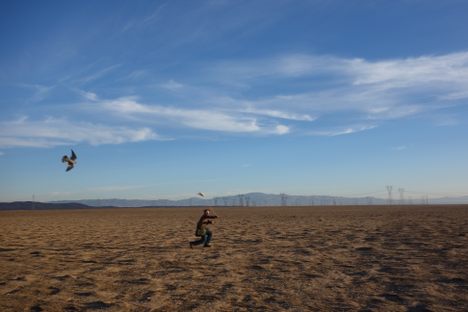Society Adventures: Raptor Encounter with a Master Falconer