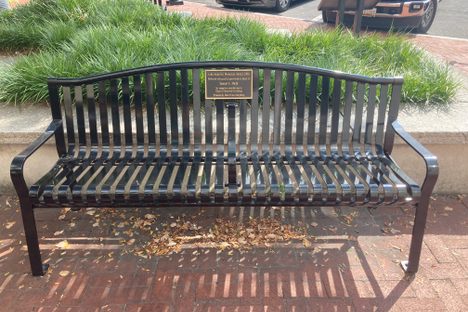 The bench