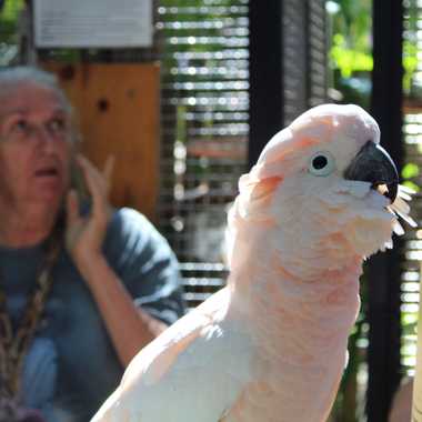 Nancy and Mr. Peaches.