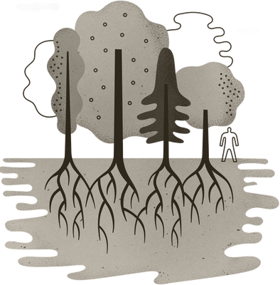 Illustration of a group of trees showing their roots extending into the ground.