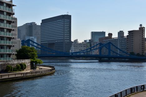 Kiyosu Bridge seen from the "Cologne view" point.