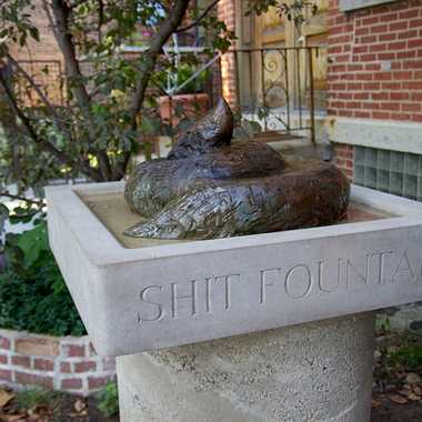 Shit Fountain