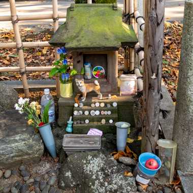Shrine to Hachikō.
