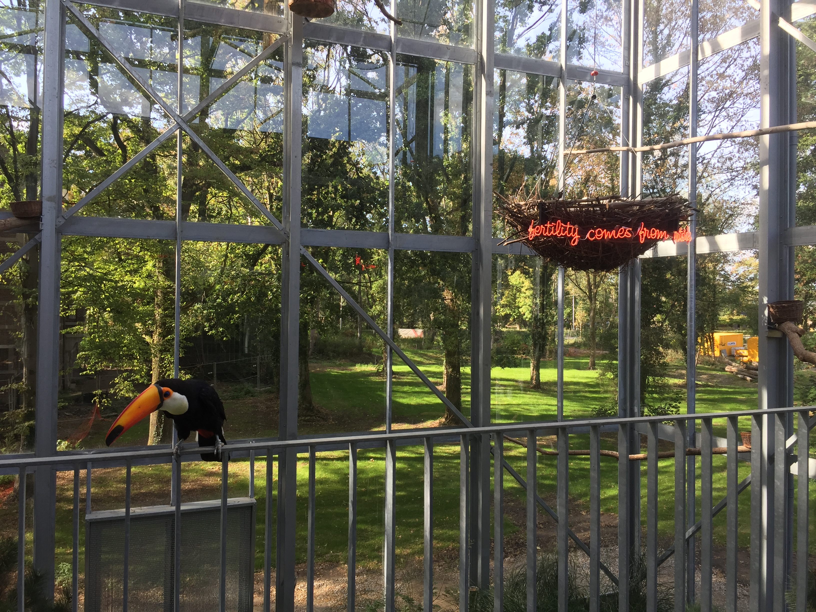 A toucan beside neon in the aviary.