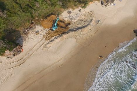 Fixing a Failed Whale Burial in Australia 