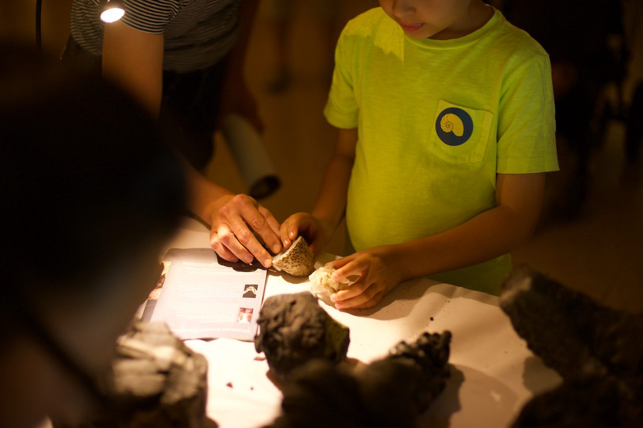 At fossil identification days, such as this one at the American Museum of Natural History in 2018, kids can bring in their finds for an expert opinion.