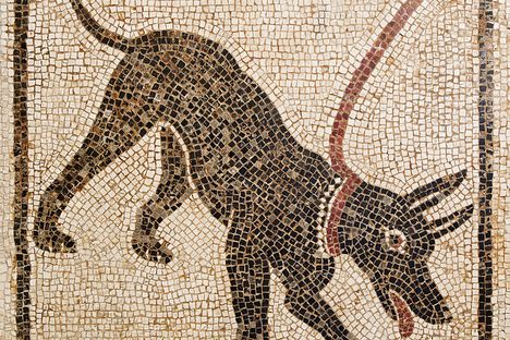 A mosaic from Pompeii of a similarly doomed dog. 