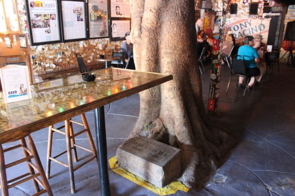 The old hanging tree, once outside, now built into the bar.