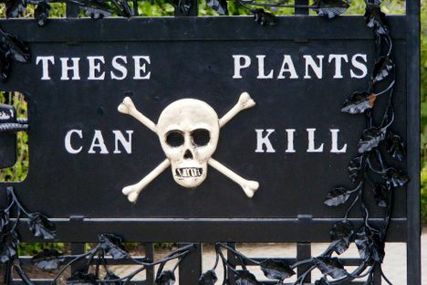 Curious Fact of the Week: A Garden That Can Kill