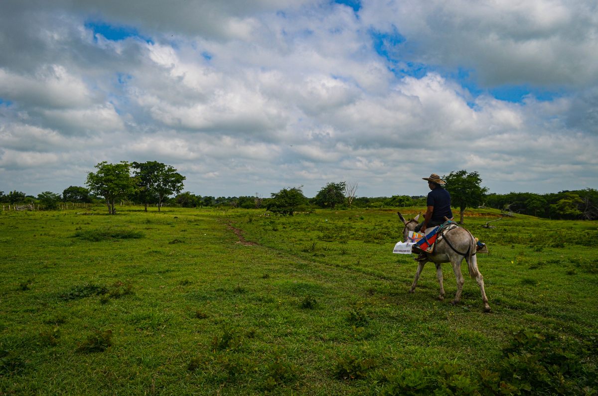 Luis Soriano and his burros have brought books to rural children in Colombia's Magdalena Department for more than 20 years.