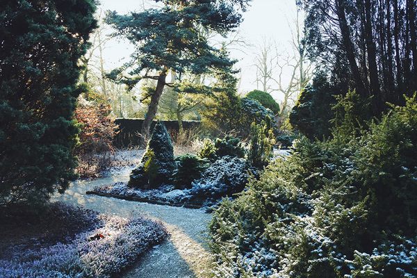 Trompenburg Gardens in winter