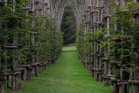 8 Extraordinary Pieces of Architecture Grown From Living Trees