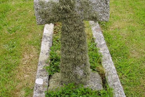 Grave