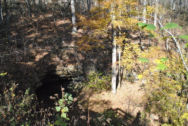 Floyd Collins Crystal Cave