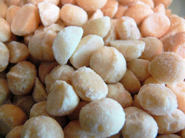 70 Percent of the World s Macadamia Nuts Came From One Tree in