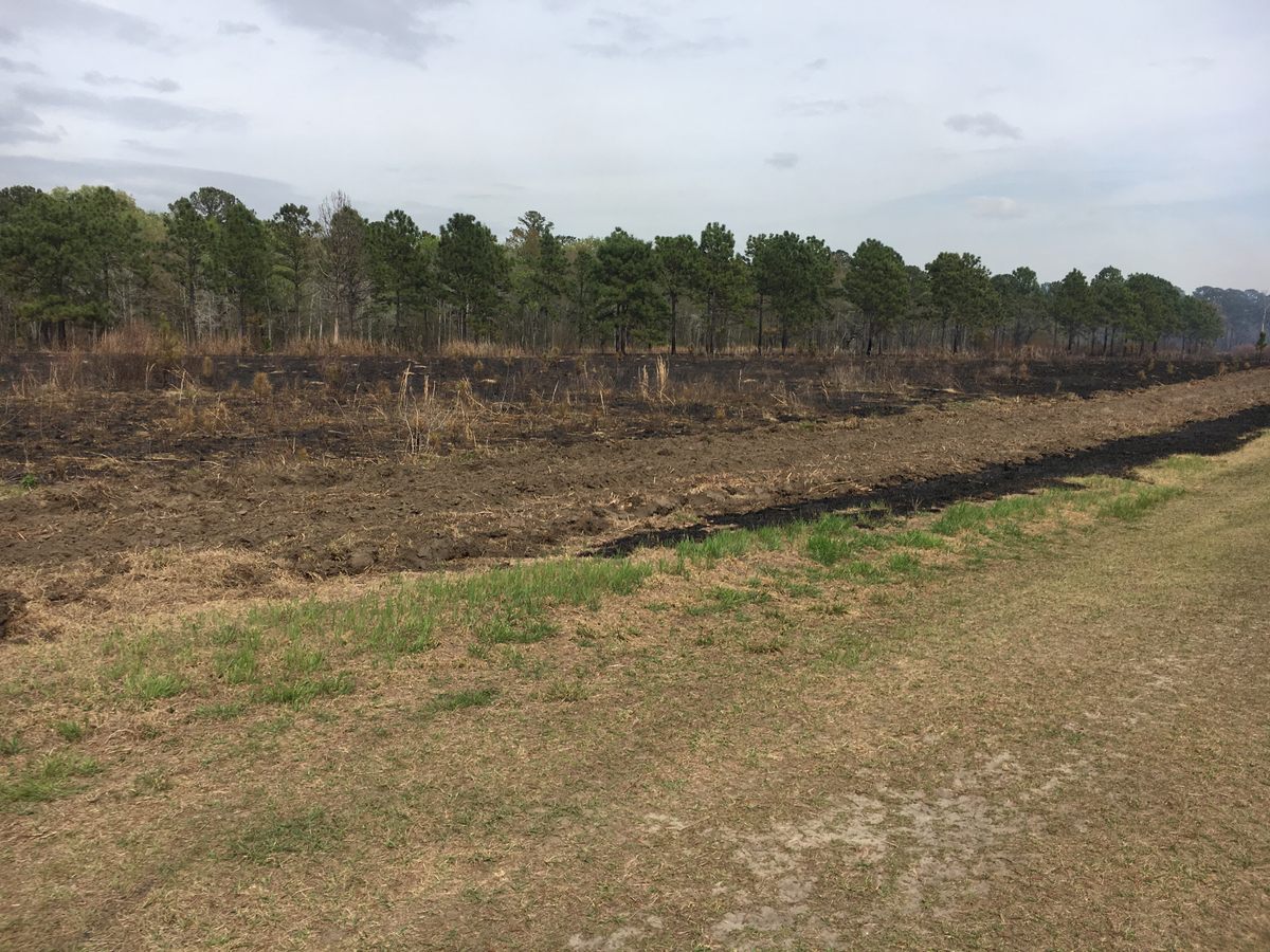 Metal detectors turned up artifacts from both the Revolutionary and Civil Wars in these fields.